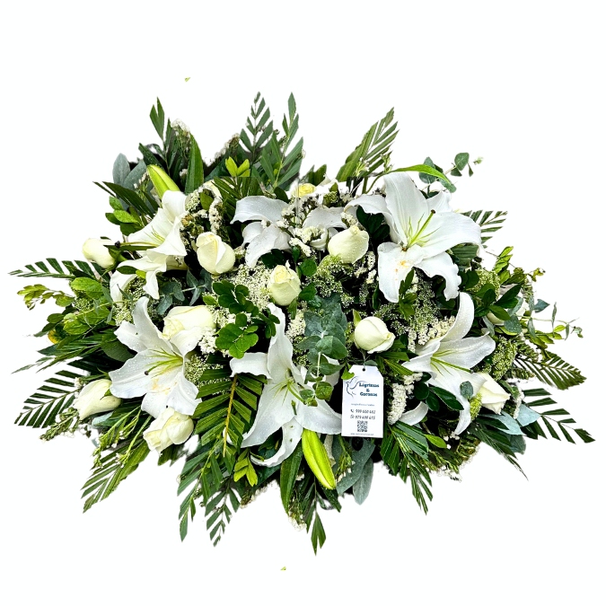 arreglos fúnebres estadio nacional