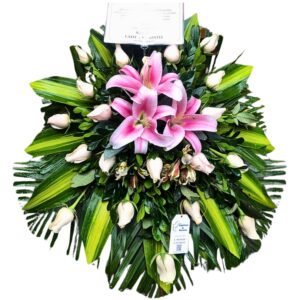 Lagrima funebre bella