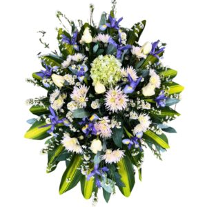 Lágrima fúnebre iris